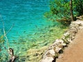 Fishes in the turquoise lake in Plitvice, Croatia Royalty Free Stock Photo