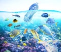 Fishes watch a floating bottle. Problem of plastic pollution under the sea concept.