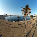 Fisheye aerial shot of palm trees on the beach in Barcelona, Spain