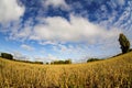 Fisheye landscape