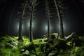 Fisheye shot of trees and grass illuminated from behind in the dark Royalty Free Stock Photo