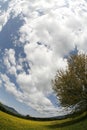 Fisheye view of cloudy sky