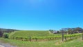 Fisheye view of rows of grape vines, in McLaren Vale, South Australia. Royalty Free Stock Photo