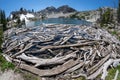 Fisheye view of Sawtooth Lake in Idaho with lots of logs and driftwood in foreground