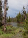 Fishhook Creek - Idaho Royalty Free Stock Photo