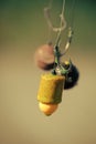 Fishhooks on line on blurred background