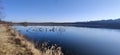 Fishin at the marsh Royalty Free Stock Photo