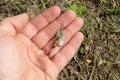 Fishing accessories. Baubles and lures lying on a hand