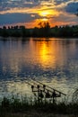 Fishing adventures, carp fishing. Angler, at sunset, is fishing with carpfishing technique. Camping on the shore of the lake.Carp