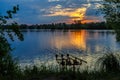 Fishing adventures, carp fishing. Angler, at sunset, is fishing with carpfishing technique. Camping on the shore of the lake.Carp