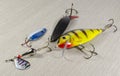 Fishing baits Royalty Free Stock Photo