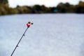 Fishing bell at the end of the fishing rod on the background of the pond Royalty Free Stock Photo