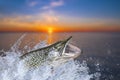 Fishing. Big pike fish jumping with splashing in water Royalty Free Stock Photo