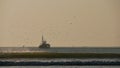 Fishing boat on the coast of Atlantic Ocean near Essaouira, Morocco, Africa chased by a large group of seagull birds.