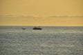 Fishing boat in costa brava spain