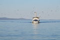 Fishing Boat Followed by Seagull Flock Royalty Free Stock Photo