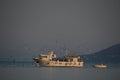 Fishing boat full of catches Royalty Free Stock Photo