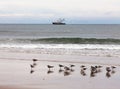 Fishing boat and gulls beach scene OBX NC US