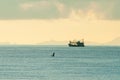 Fishing boat in a harbour in the morning