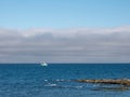 Fishing boat heading out to the ocean in the early morning Royalty Free Stock Photo