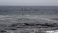 Fishing Boat Out On Depoe Bay Oregon Amid Waves