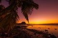 Fishing boat and palm at sunset time. Le Morn mountain in Mauritius Royalty Free Stock Photo