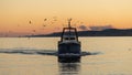 A fishing boat returning to port in Spain. Royalty Free Stock Photo