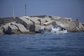 Fishing boat returns to the port #2 Royalty Free Stock Photo