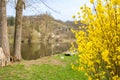 A fishing boat on the river shore surrounded by trees whiteout leaves spring day Royalty Free Stock Photo