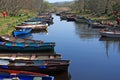 Fishing Boat Row At Killarney National Park