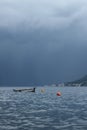 Fishing boat sailing peacefully on the tranquil sea, Perast, Montenegro Royalty Free Stock Photo