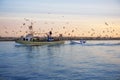 Fishing boat seagull on sunset sunrise Royalty Free Stock Photo