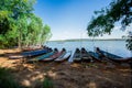 Palm Tree, River, Riverbank, Tropical Climate, Tropical Rainfore Royalty Free Stock Photo