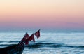 Sunset & Boat - Baltic Sea - Usedom Island