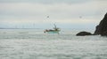 Fishing boat surrounded by black-headed gulls in the sea. Royalty Free Stock Photo