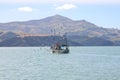 Fishing boat surrounded by seagulls in Akaroa harbour near Akaroa town on Banks Peninsula in the Canterbury region