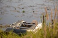 Fishing boat tethered by the river on a sunny day.