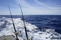 Fishing on the boat with trolling rod and reel.