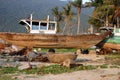 Fishing Boat - Vietnam