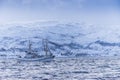 Fishing boat wintertime TromsÃÂ¸ Norway