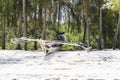 Fishing boat in Zanzibar Royalty Free Stock Photo