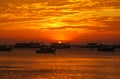 Fishing boats on the background of a golden sunset