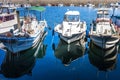 Fishing boats on the background of the harbour