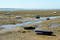 Fishing boats on the beach of Puerto Real in Cadiz, Andalusia. Spain Royalty Free Stock Photo