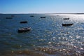 Fishing boats on the beach of Puerto Real in Cadiz, Andalusia. Spain Royalty Free Stock Photo