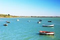 Fishing boats on the beach of Puerto Real in Cadiz, Andalusia. Spain Royalty Free Stock Photo