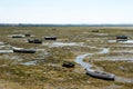 Fishing boats on the beach of Puerto Real in Cadiz, Andalusia. Spain Royalty Free Stock Photo