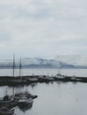 Fishing boats bob serenely in an Icelandic fjord, surrounded by flocks of birds. Royalty Free Stock Photo