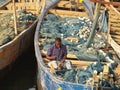 Fishing boats in Cape Coast, Ghana, Africa