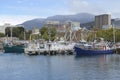 Fishing boats in Constitution Dock in Hobart the capital city of Tasmania, Australia Royalty Free Stock Photo